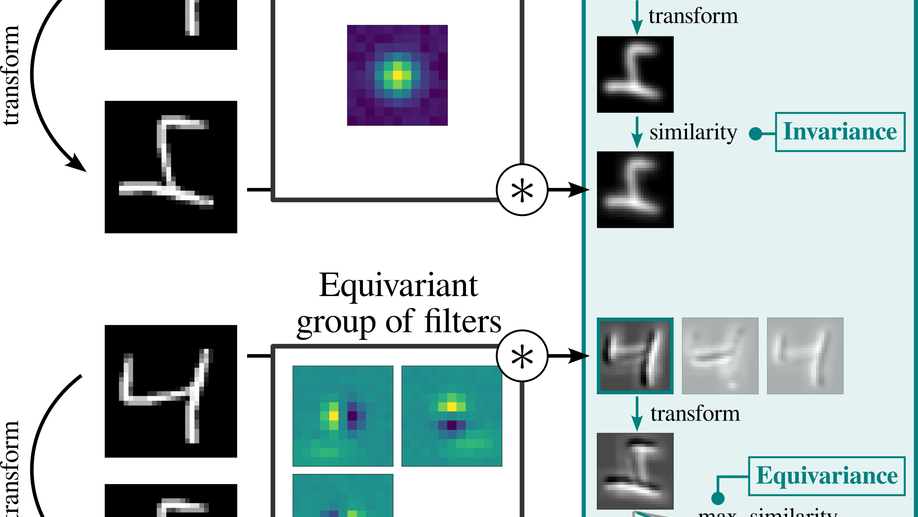 What Affects Learned Equivariance in Deep Image Recognition Models?